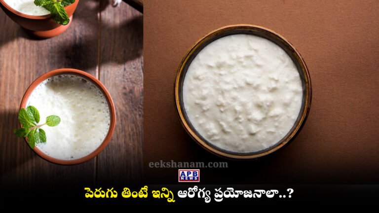 curd -Yogurt