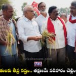 BV Raghavulu, CPIM Telangana, Nalgonda Farmers Issue, Delimitation Controversy,