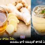 Cumin ginger and ajwain boiled water health benefits in morning