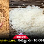 Fine Rice Price Hike Nalgonda Market Millers Stocking